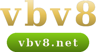 vbv8 logo